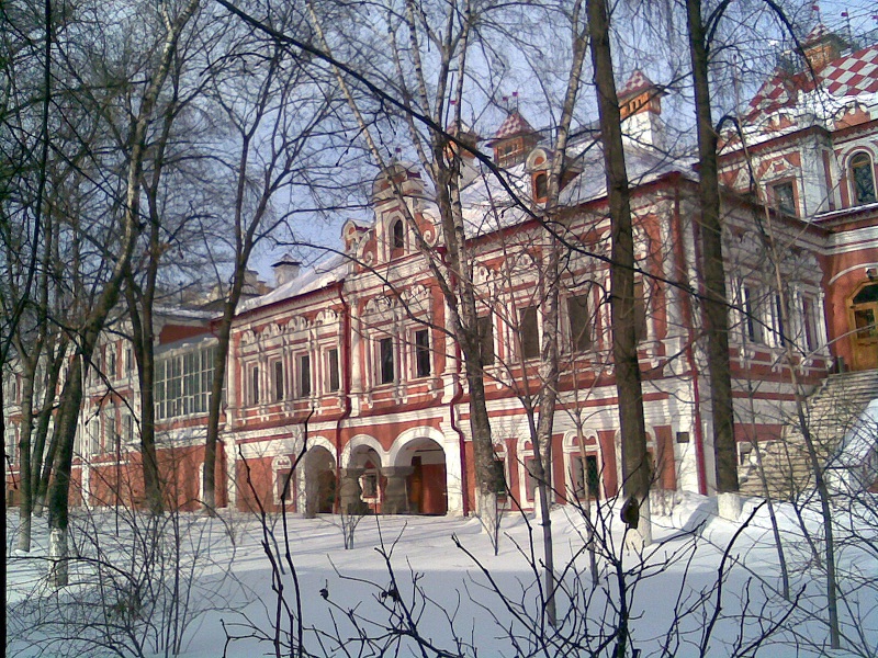 Зимний вид дворца Волковы-Юсуповых